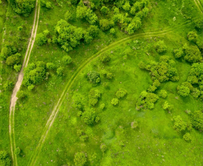 aste giudiziarie Land Plots