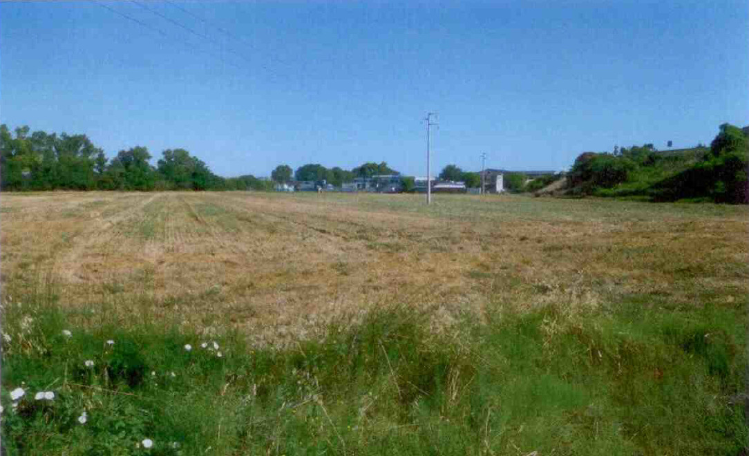 asta Terreno Agricolo a Chiaravalle AN 00003 asta Terreno Agricolo a Chiaravalle AN 00003