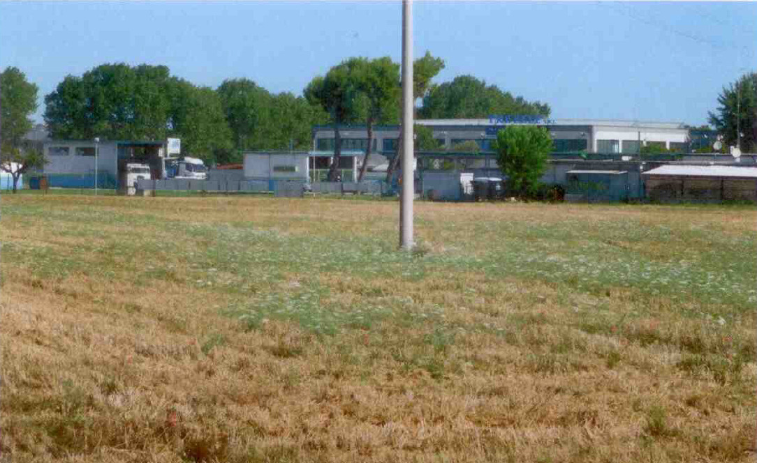 asta Terreno Agricolo a Chiaravalle AN 00004 asta Terreno Agricolo a Chiaravalle AN 00004