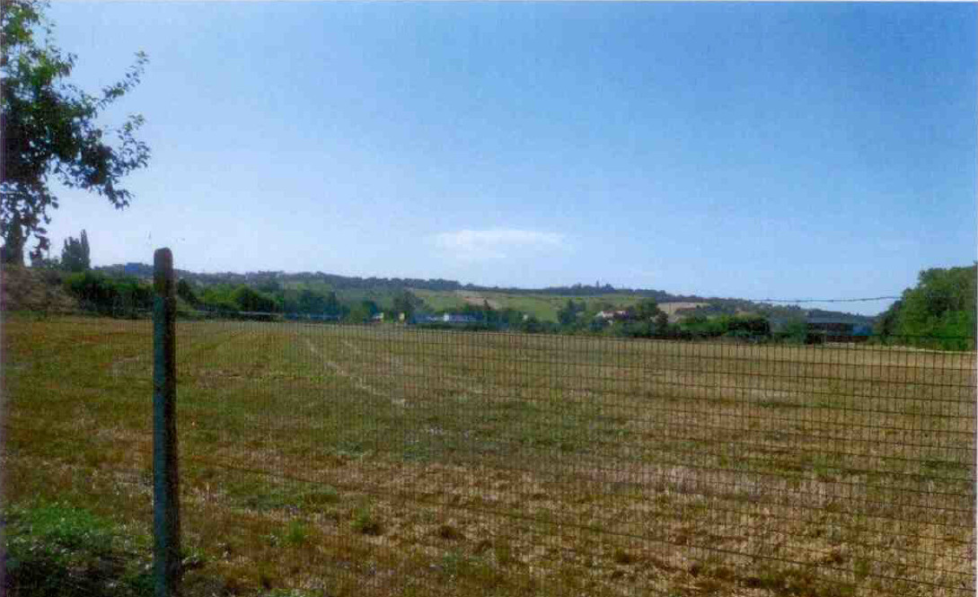 asta Terreno Agricolo a Chiaravalle AN 00005 asta Terreno Agricolo a Chiaravalle AN 00005