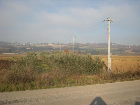 Tre terreni agricoli a Perugia - LOTTO 3