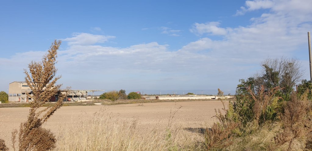 Agricultural lands with rural buildings in Cerignola (FG) - LOT 1