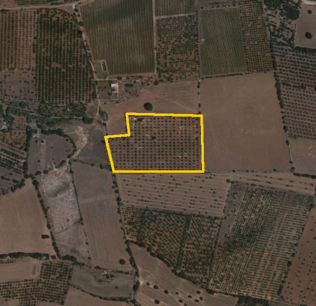 Agricultural land in Acquaviva delle Fonti (BA) - LOT 2