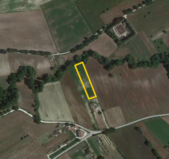 Agricultural land in Sigillo (PG) - LOT 5 - SHARE 1/2