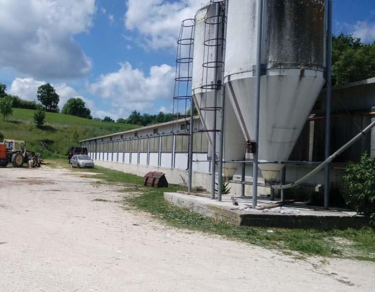 Poultry shed in Gualdo Tadino (PG)