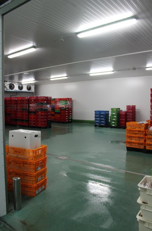 Unità Produttiva che opera nel settore alimentare a Zas - A Coruña. - LOTTO COMPLETO