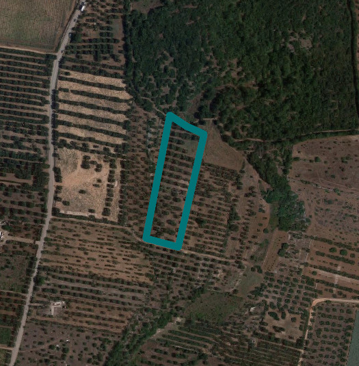 Agricultural land in Acquaviva delle Fonti (BA) - LOT 3