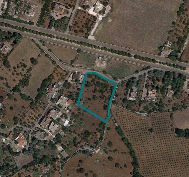 Agricultural lands in Putignano (BA) - LOT 16