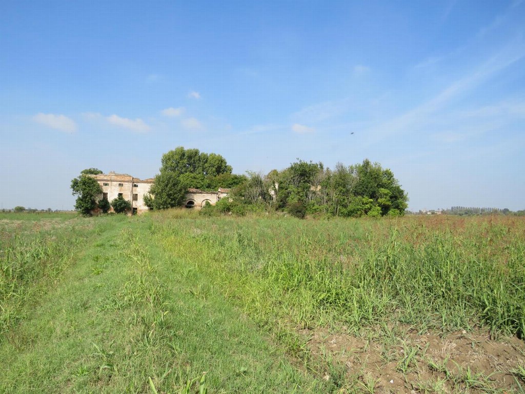 Terrain agricole et partie de bâtiment en ruine à Castagnaro (VR) - LOT B6