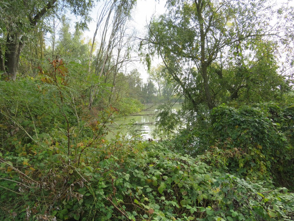 Terrenos fluviales y edificios en ruinas en Riva del Po (FE) - LOTE F4