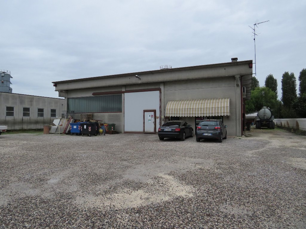 Workshop in Cerea (VR) - LOT C12