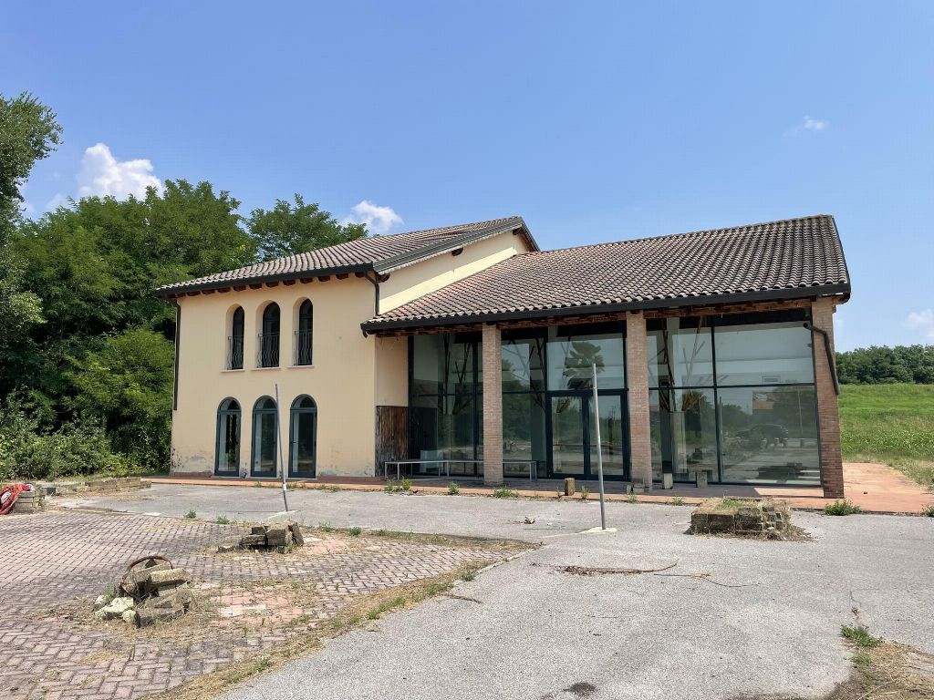 asta Negozio a Canaro RO 00002