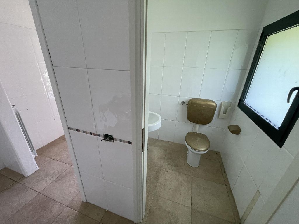 asta Negozio a Canaro RO 00005