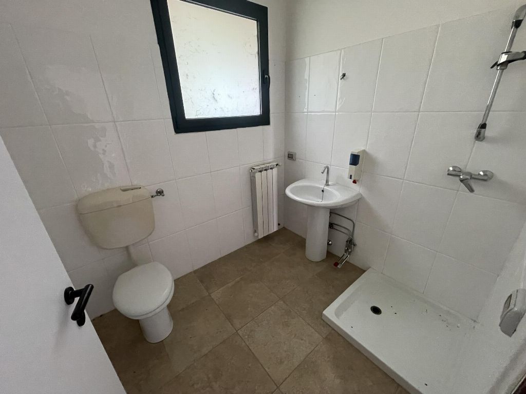 asta Negozio a Canaro RO 00010