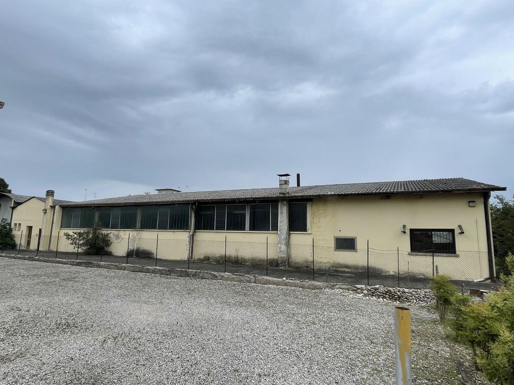 asta Opificio a Casaleone VR 00002