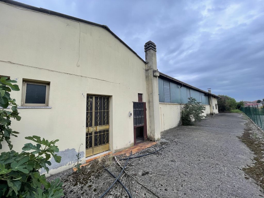 asta Opificio a Casaleone VR 00006