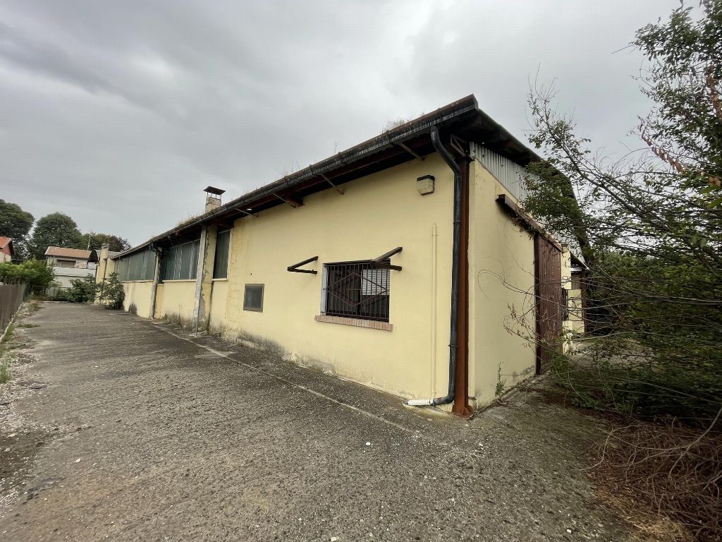 asta Opificio a Casaleone VR 00007