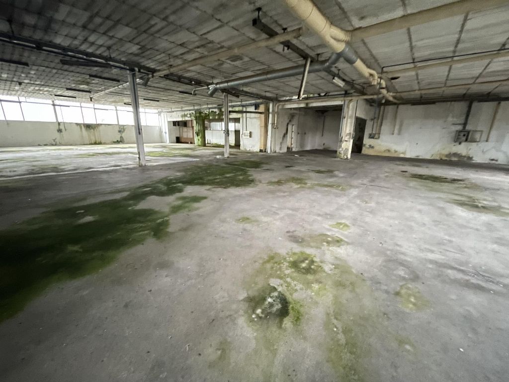 asta Opificio a Casaleone VR 00018