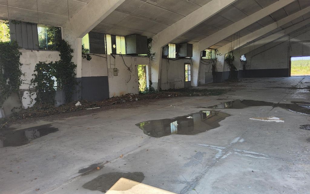 asta Capannone a Pomaro Monferrato AL 00005