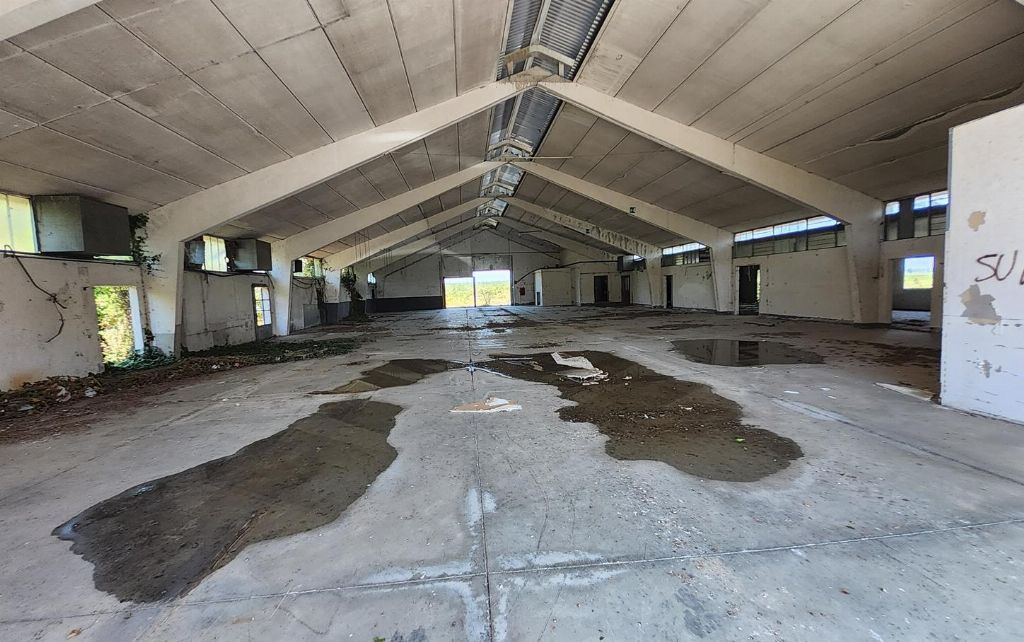 asta Capannone a Pomaro Monferrato AL 00006