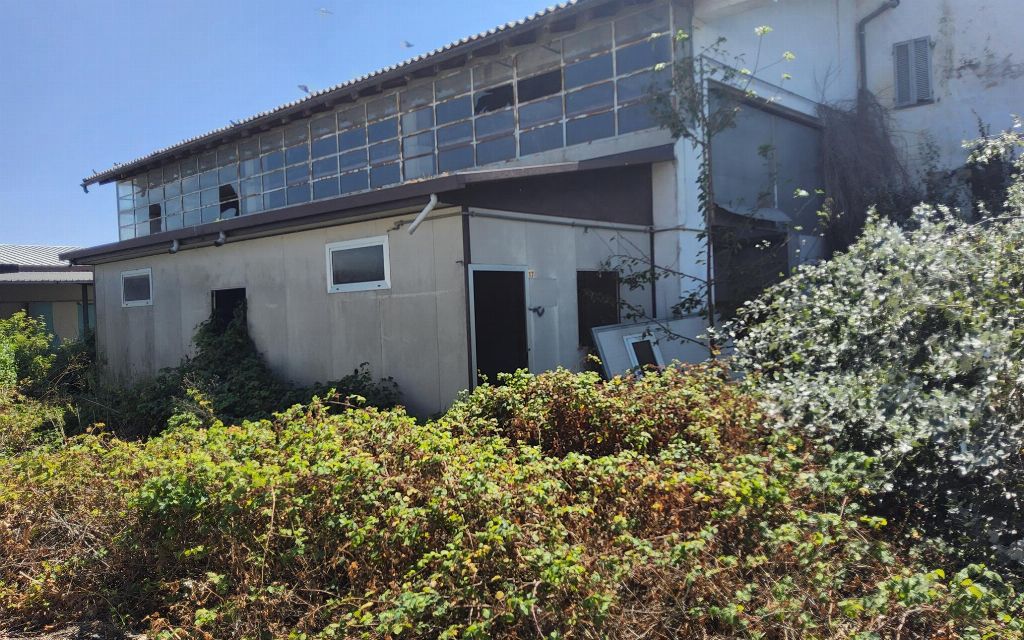asta Capannone a Pomaro Monferrato AL 00017