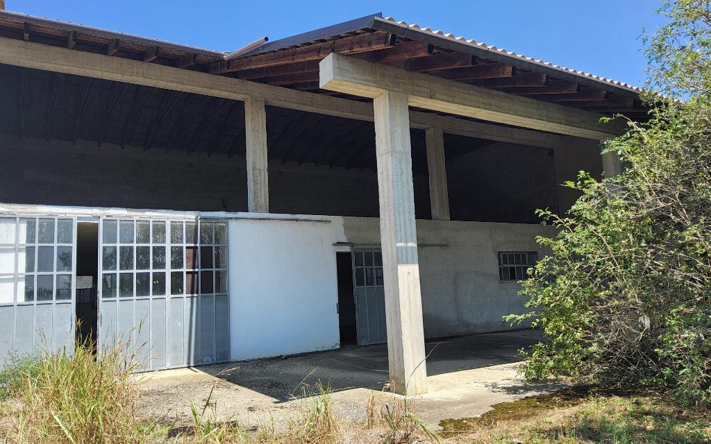 asta Capannone a Pomaro Monferrato AL 00026