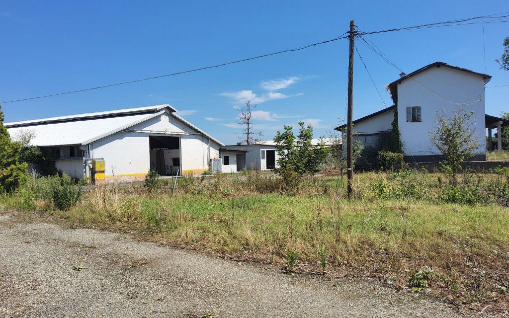 asta Capannone a Pomaro Monferrato AL 00028
