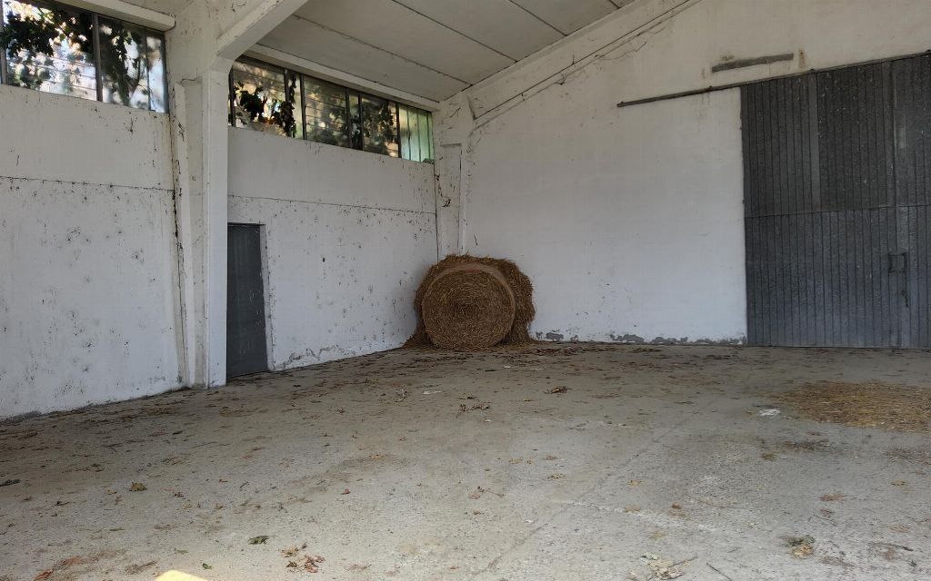 asta Capannone a Pomaro Monferrato AL 00029