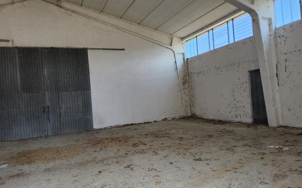 asta Capannone a Pomaro Monferrato AL 00030