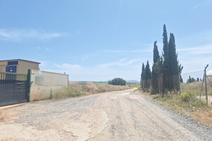 asta Tierras De Cultivo a Requena Espana 00006 asta Tierras De Cultivo a Requena Espana 00006