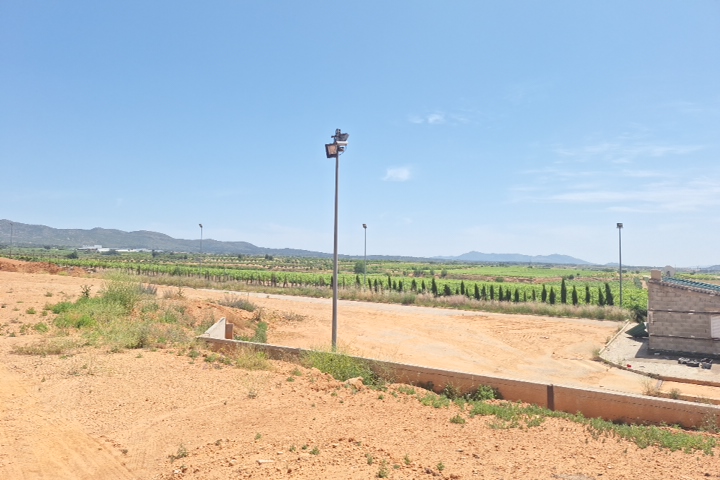 asta Tierras De Cultivo a Requena Espana 00014 asta Tierras De Cultivo a Requena Espana 00014