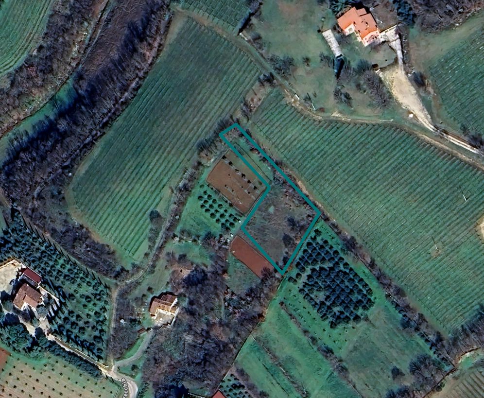 asta Terreno Agricolo a Orgiano VI 00002 asta Terreno Agricolo a Orgiano VI 00002