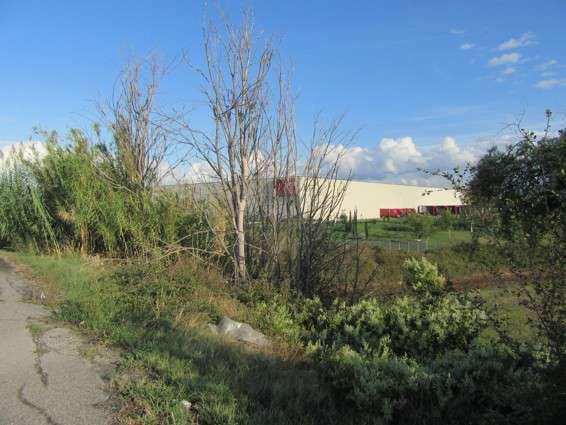 asta Terreno Agricolo a Guidonia Montecelio Roma 00007 asta Terreno Agricolo a Guidonia Montecelio Roma 00007