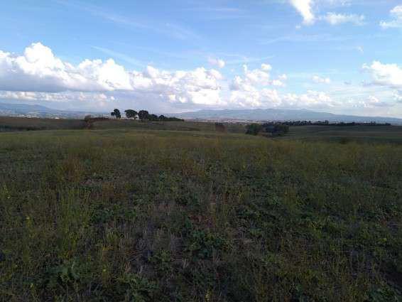 asta Terreno Agricolo a Guidonia Montecelio Roma 00011 asta Terreno Agricolo a Guidonia Montecelio Roma 00011