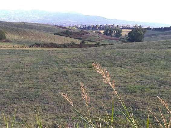 asta Terreno Agricolo a Guidonia Montecelio Roma 00019 asta Terreno Agricolo a Guidonia Montecelio Roma 00019