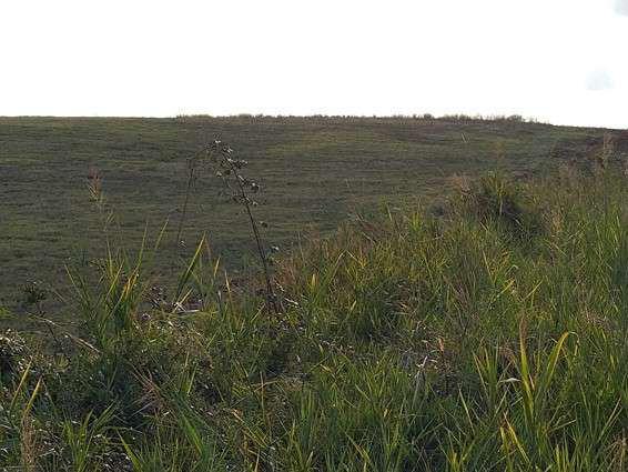 asta Terreno Agricolo a Guidonia Montecelio Roma 00021 asta Terreno Agricolo a Guidonia Montecelio Roma 00021