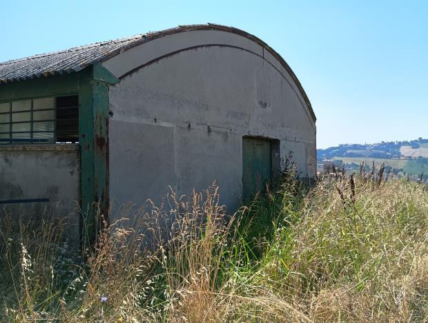 asta Gru a San Marcello AN 00004 asta Gru a San Marcello AN 00004