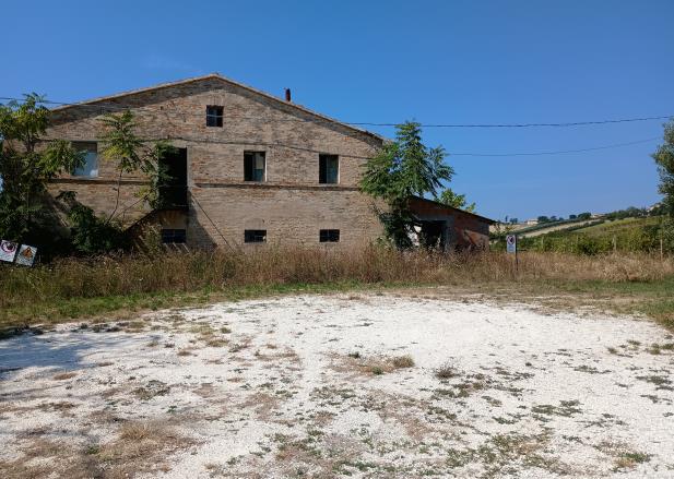asta Gru a San Marcello AN 00007 asta Gru a San Marcello AN 00007
