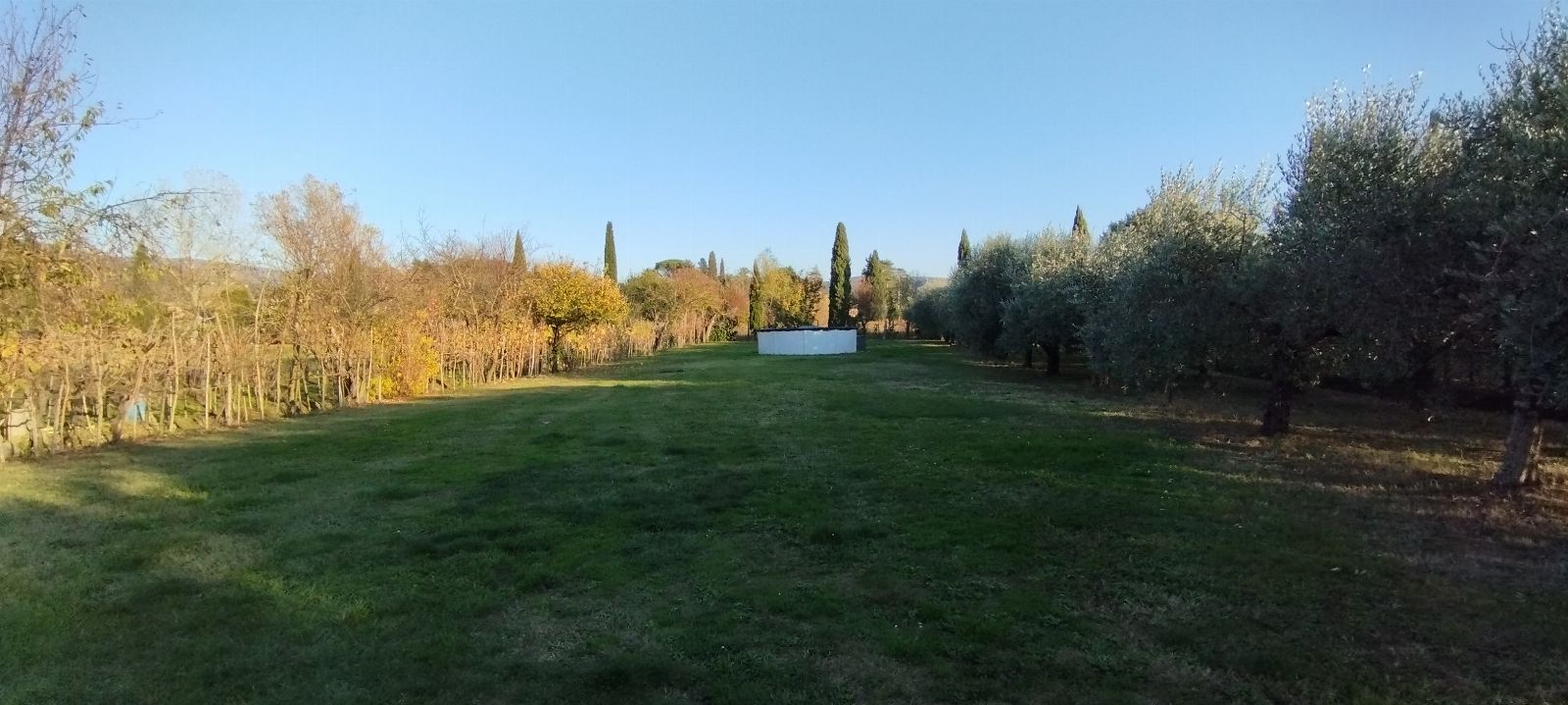 Abitazione con annessi e terreno a Cortona (AR) - LOTTO 1