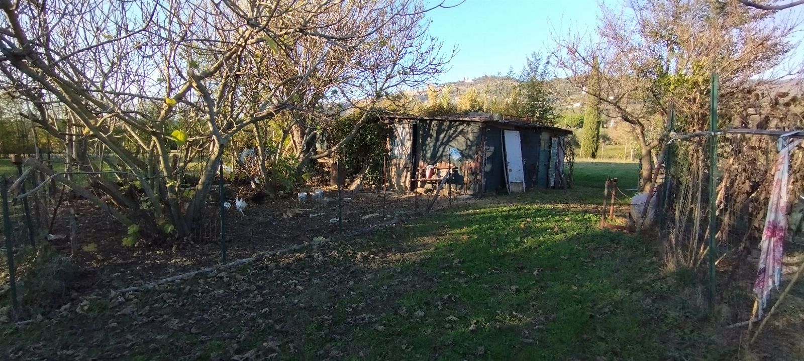 Abitazione con annessi e terreno a Cortona (AR) - LOTTO 1