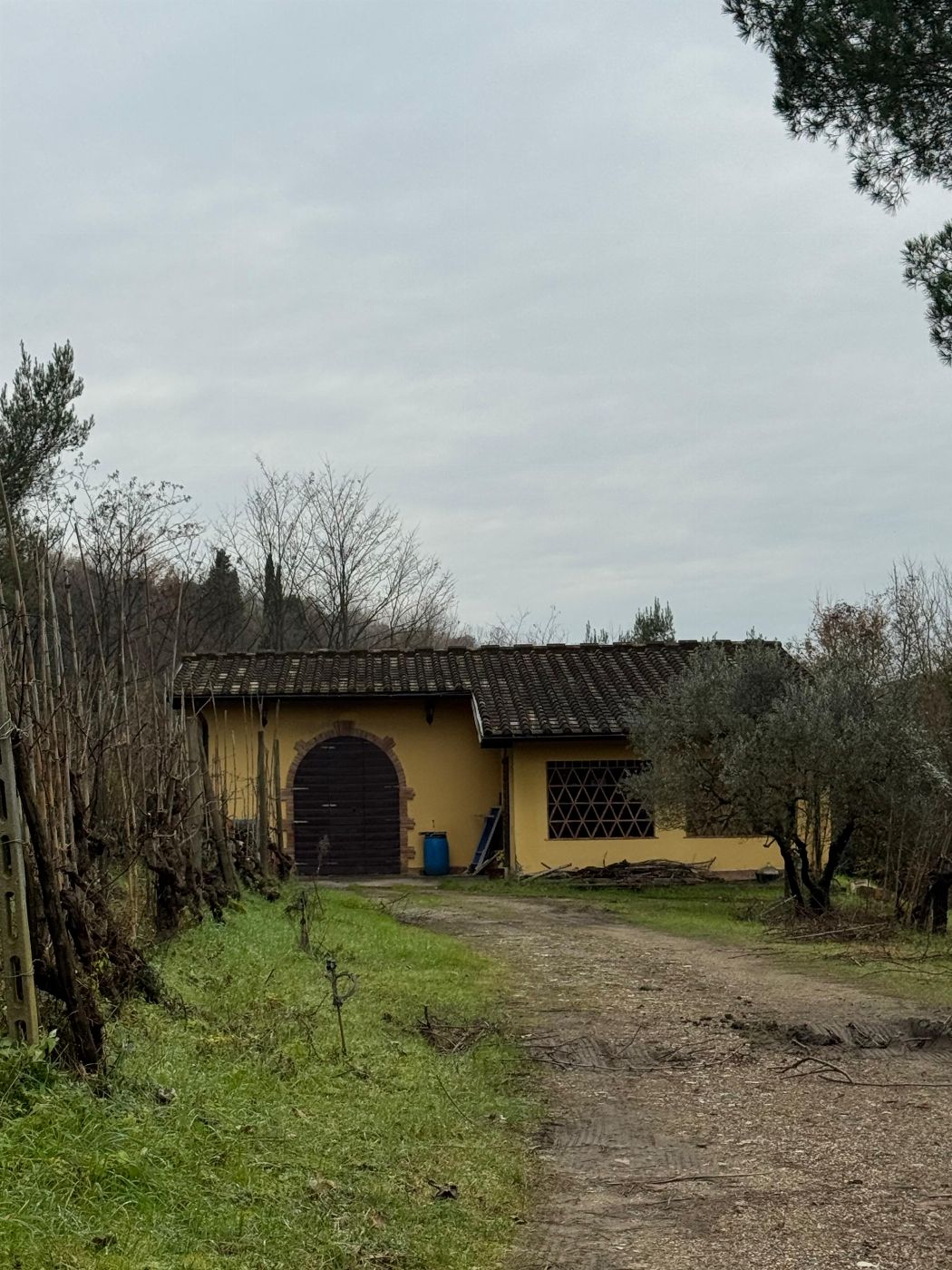 Azienda per attivit&agrave; agrituristica a San Miniato (PI)
