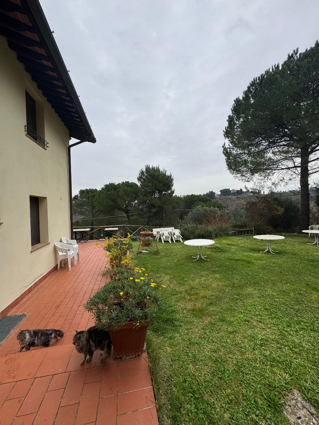 Azienda per attivit&agrave; agrituristica a San Miniato (PI)