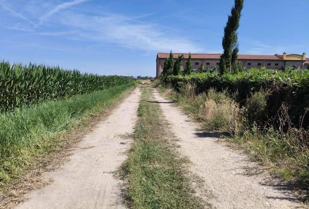 Agricultural land in Borgo Veneto (PD)