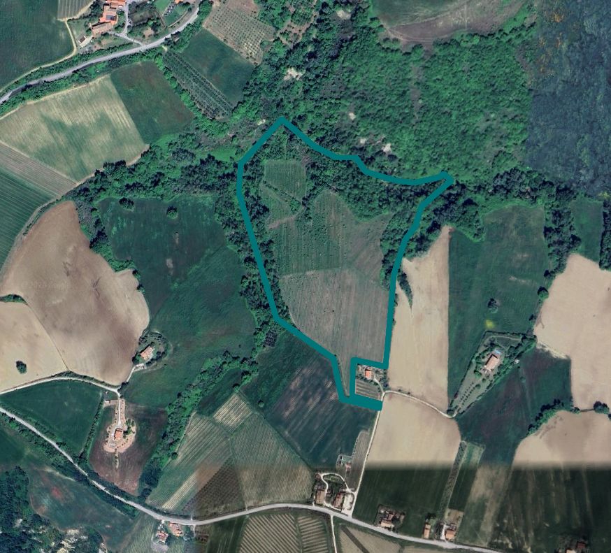 asta Terreno Agricolo a Rosora AN 00003 asta Terreno Agricolo a Rosora AN 00003