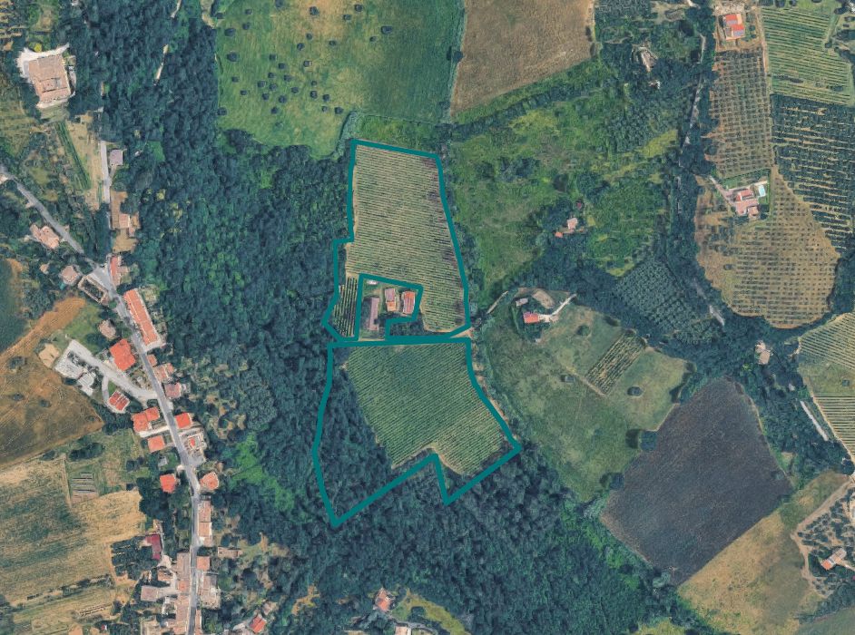 asta Terreno Agricolo a Castelplanio AN 00003 asta Terreno Agricolo a Castelplanio AN 00003