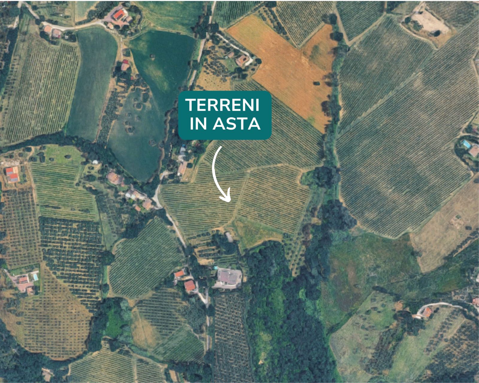 asta Terreno Agricolo a Castelplanio AN 00003 asta Terreno Agricolo a Castelplanio AN 00003