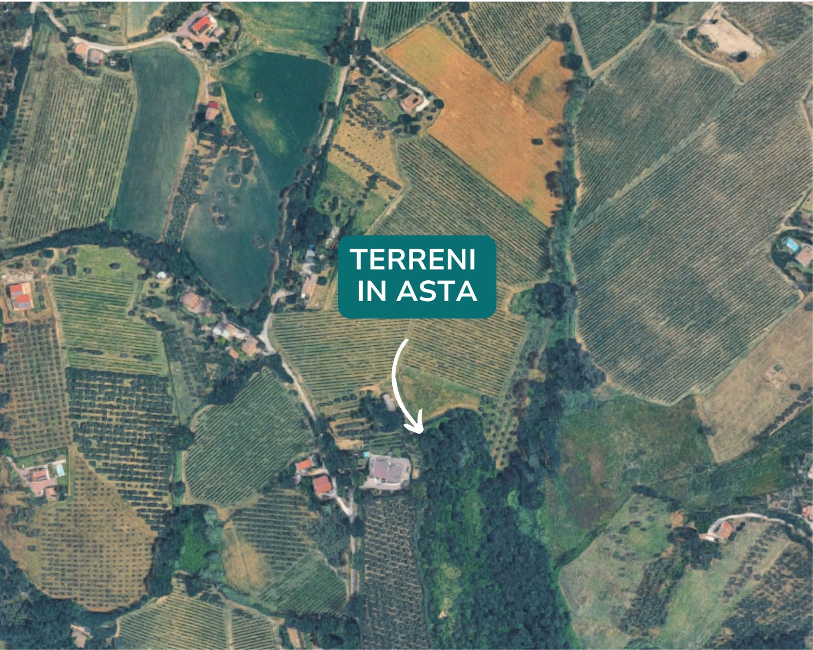 asta Terreno Agricolo a Castelplanio AN 00003 asta Terreno Agricolo a Castelplanio AN 00003