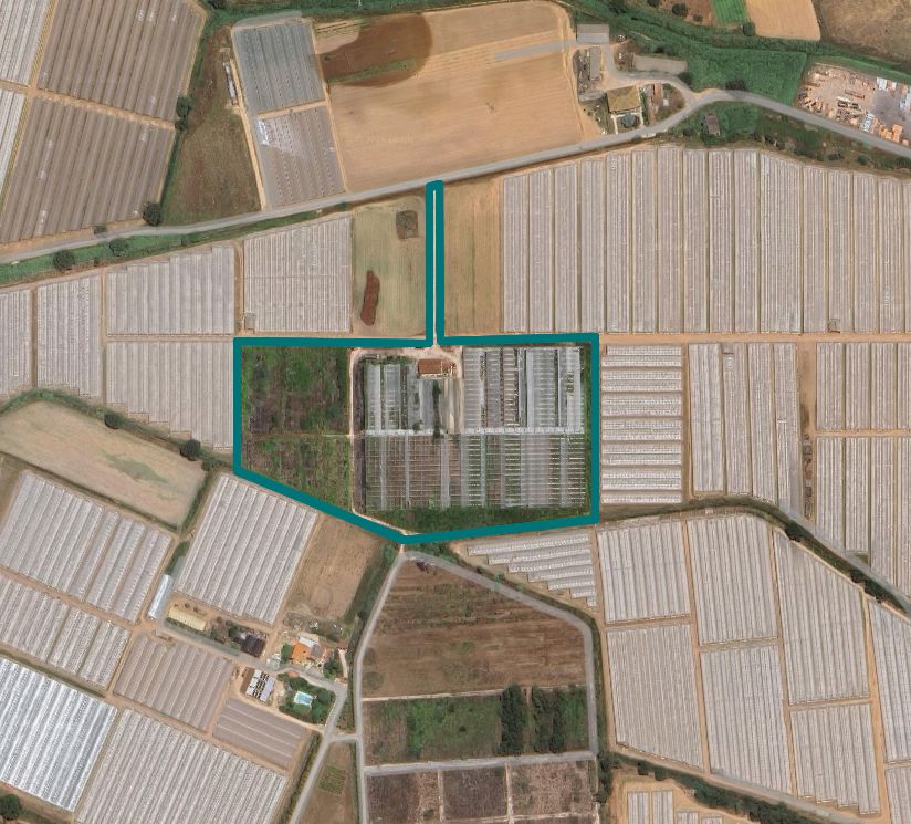 asta Terreno Agricolo a Terracina LT 00002 asta Terreno Agricolo a Terracina LT 00002