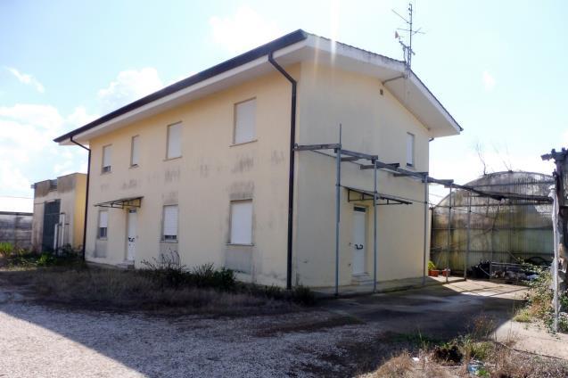 asta Terreno Agricolo a Terracina LT 00004 asta Terreno Agricolo a Terracina LT 00004