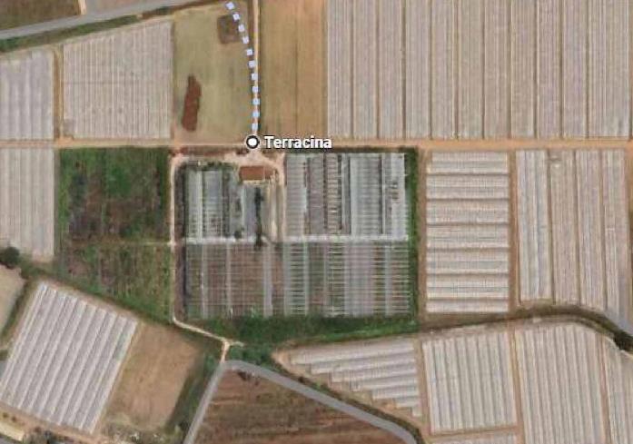 asta Terreno Agricolo a Terracina LT 00034 asta Terreno Agricolo a Terracina LT 00034